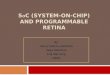 System-on-Chip Programmable Retina