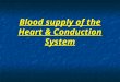Blood supply of heart (1)