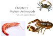 Chapter 9 arthropods