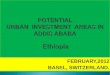 Potential investment areas in Addis Ababa