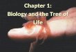 Chapter1 biology+and+the+tree+of+life-1