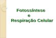 Fotossintese e respiração celular