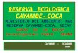 Recay: Reserva Cayambe-Coca - Pablo Guaña