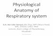 Physiological anatomy of respiratory system