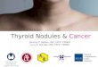 2013 4-14 CDO TEPI - thyroid nodules and cancer (Case Based Approach)