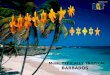 Barbados Dream