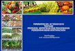 Produksi, sertifikasi, peredaran  benih hortikultura (permentan no. 48 tahun 2012) upload