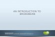 Client presentation broadbean