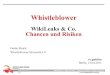 WikiLeaks & Co.: Chancen und Risiken - Guido Strack über Whistleblower