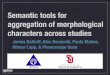 Semantic tools for aggregation of morphological characters across studies