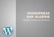 Wordpress DAY - création d'extensions