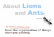 About Lions and Ants (Version 2)