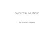 Skeletal Muscle Physiology Basics
