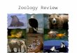 Zoology review final