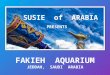 Fakieh Aquarium - Jeddah, Saudi Arabia