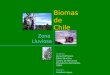 Bioma de Chile Zona Lluviosa