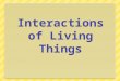 Interactions of living things 2
