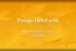 Potato Hill Farm Schreppel