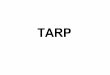 Explaining Tarp