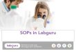 SOPs for industrial accounts | Labguru