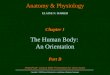 Anatomy and Physiology Chapter 1 - Introduction to Anatomy and Physiology Part 2