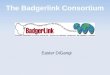 Badgerlink presentation
