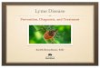 Lyme disease prevention, diagnosis and treatment
