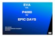 EVA v. P4000 - A Discussion