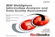 IBM WebSphere Information Analyzer and Data Quality Assessment