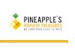 Final paper outline pineapples house of treasures v3 (6 july2013)