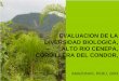 Evaluacion de la diversidad biologica en el alto rio Cenepa, Cordillera del Condor