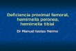 Deficiencia proximal femoral, hemimelia peronea, hemimelia tibial Dr Manuel testas Hermo