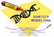 GENETICA MENDELIANA SANDRA LILIANA PARRA ARIAS LICENCIADA EN BIOLOGIA UNIVERSIDAD PEDAGOGICA NACIONAL ESPECIALISTA EN GERENCIA AMBIENTAL Y PREVENCION Y