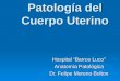 Patología del Cuerpo Uterino Hospital Barros Luco Anatomía Patológica Dr. Felipe Moreno Bolton