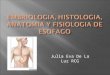 Julia Eva De La Luz RCG. Embriología Porción craneal deriva de intestino faríngeo. Porción caudal del segmento pre gástrico del intestino anterior. A