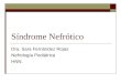 Síndrome Nefrótico Dra. Sara Fernández Rojas Nefrología Pediátrica HNN