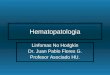 Hematopatologia Linfomas No Hodgkin Dr. Juan Pablo Flores G. Profesor Asociado HU