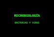 MICROBIOLOGÍA BACTERIAS Y VIRUS. BACTERIAS REINO MONERAS (DOMINIOS ARQUEA Y BACTERIA)
