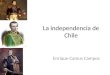 La independencia de Chile Enrique Camus Campos. Causas de la Independencia Clasificación InternasExternasInmediatasMediatas Todas aquellas de larga dataOcurren