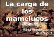 La carga de los mamelucos Goya Marta Araujo Caviró 4º E.S.O. A