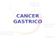 CANCER GASTRICO. ANATOMIA DEL ESTOMAGO CAPA SUBMUCOSA TUNICA MUCOSA CAPA MUSCULAR CIRCULAR Y LONGUITUDINAL SUBSEROSA SEROSA