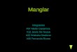 Manglar Integrantes #07 Marie Casanova #12 Jesús De Sousa #22 Waleska Maderer #35 Fernanda Rivero