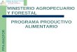 PROGRAMA PRODUCTIVO ALIMENTARIO MINISTERIO AGROPECUARIO Y FORESTAL PPA-MAGFOR
