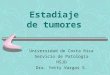 Estadiaje de tumores Universidad de Costa Rica Servicio de Patología HSJD Dra. Yetty Vargas S