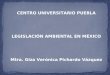 CENTRO UNIVERSITARIO PUEBLA LEGISLACIÓN AMBIENTAL EN MÉXICO Mtra. Giza Verónica Pichardo Vázquez