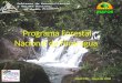 Programa Forestal Nacional de Nicaragua INAFOR, mayo de 2008