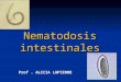 Nematodosis intestinales Prof. ALICIA LAPIERRE