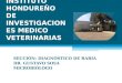 INSTITUTO HONDUREÑO DE INVESTIGACIONES MEDICO VETERINARIAS SECCIÓN: DIAGNÓSTICO DE RABIA DR. GUSTAVO SOSA MICROBIÓLOGO