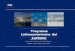 Programa Latinoamericano del Carbono Natalia Bohórquez Dirección Desarrollo Sostenible Quito, 10 de Enero de 2004