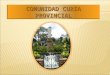 COMUNIDAD CURIA PROVINCIAL. Formación inicial Formación permanente Educación Protección Reeducación Formación Comunidades locales GOBIERNO PROVINCIAL